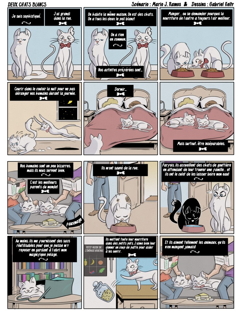 deux chats blanc_P1
